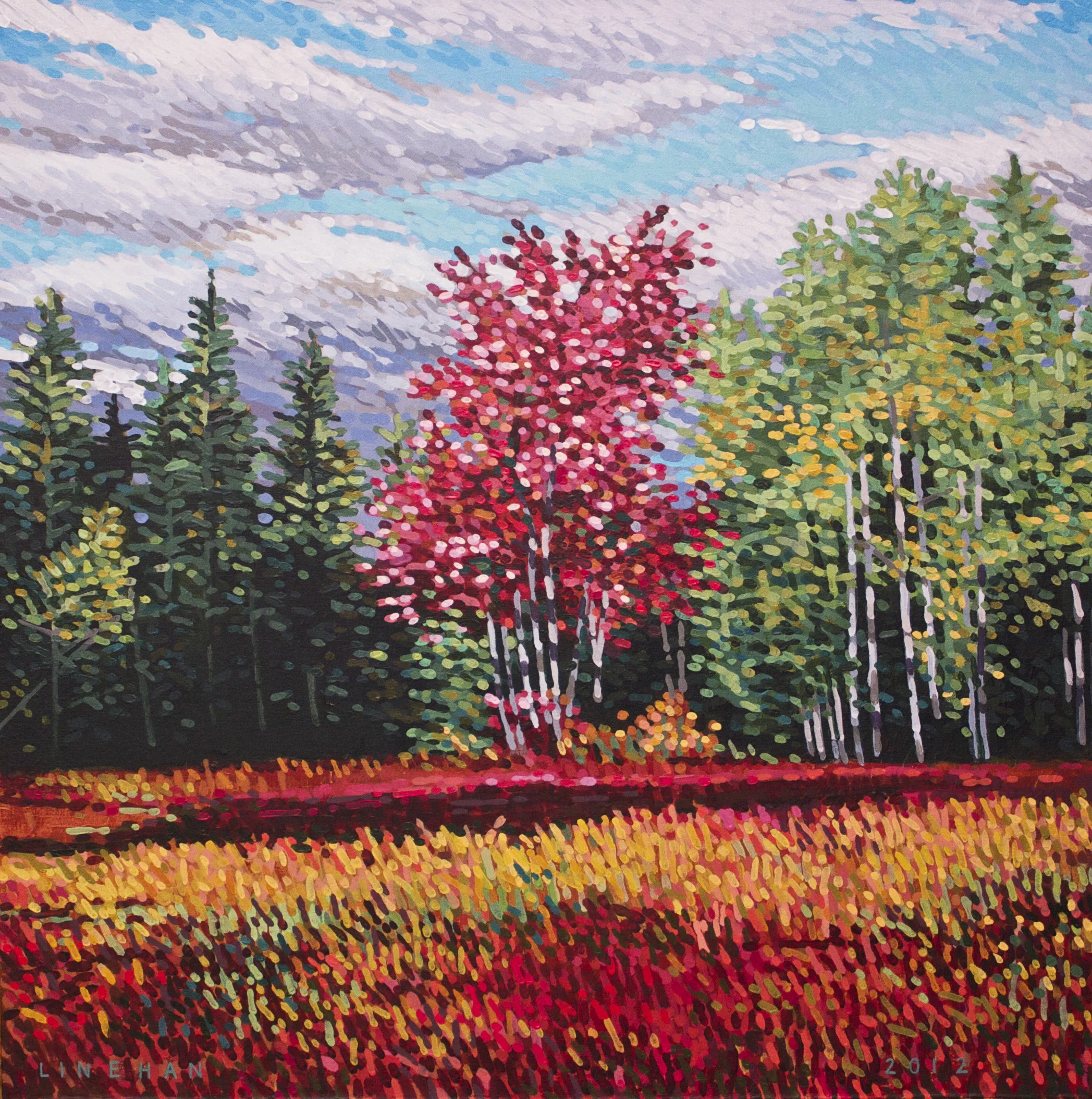 Red Maple