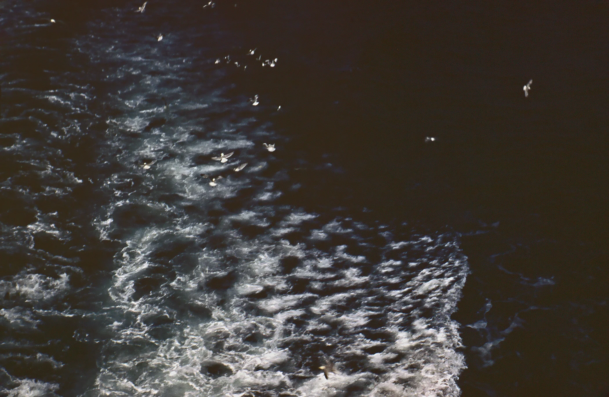 426C.jpg