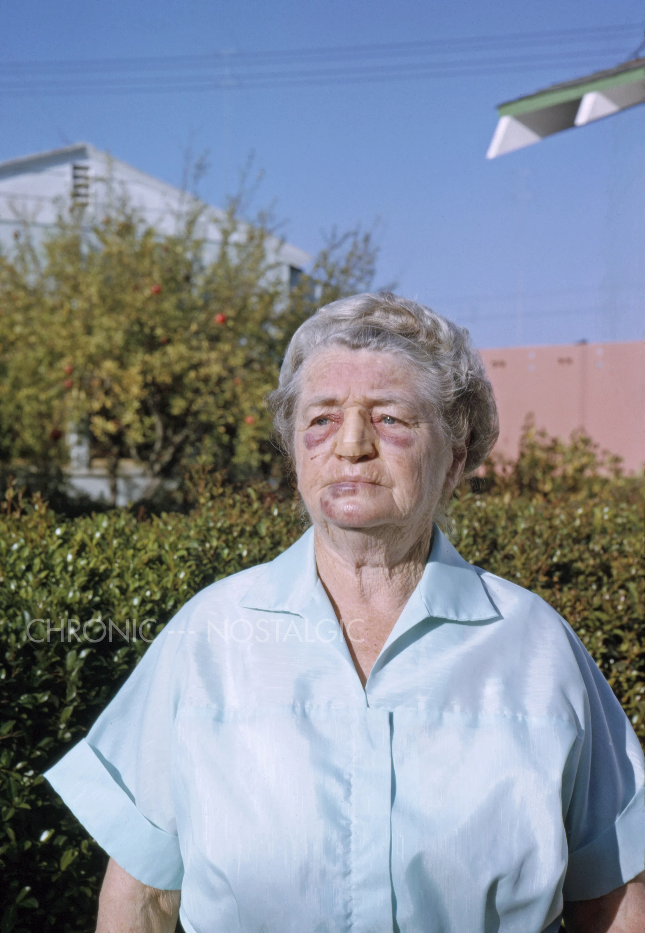 262E.jpg