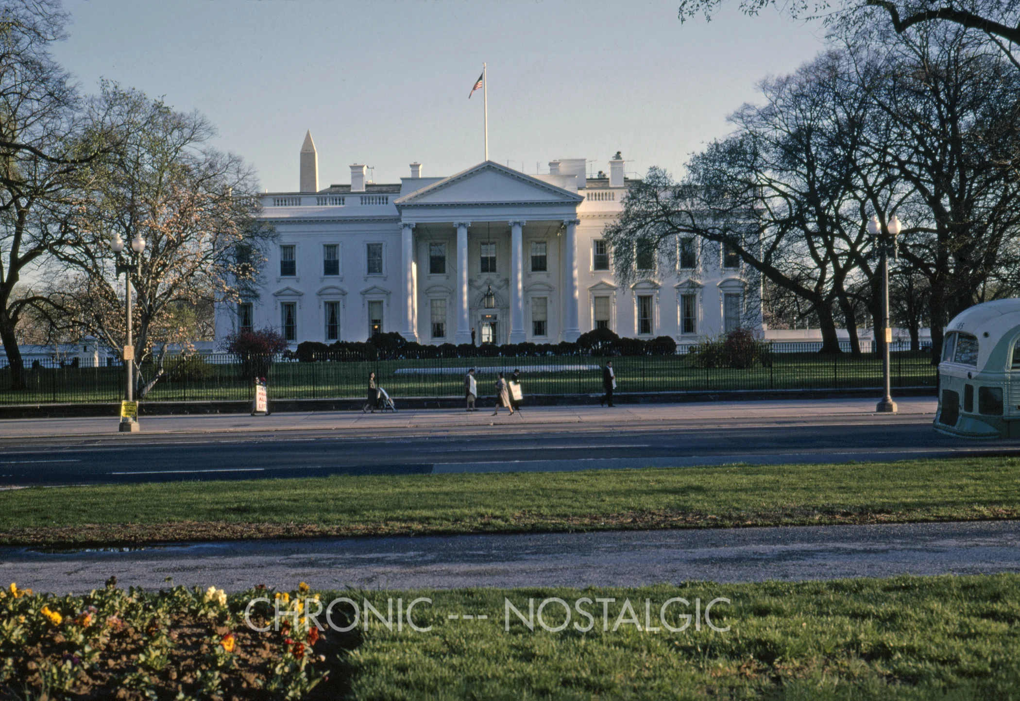 263E.jpg