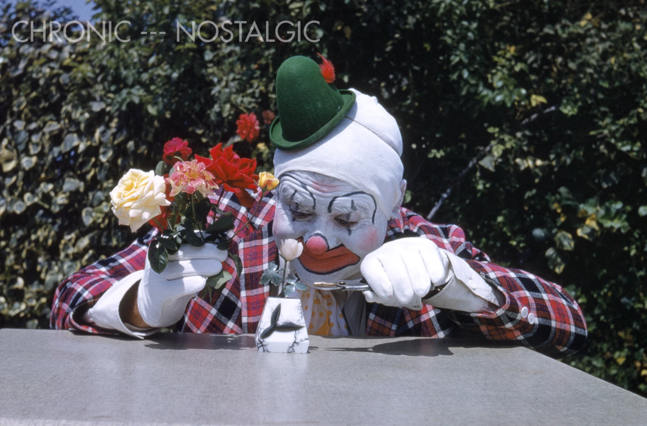 265E.jpg
