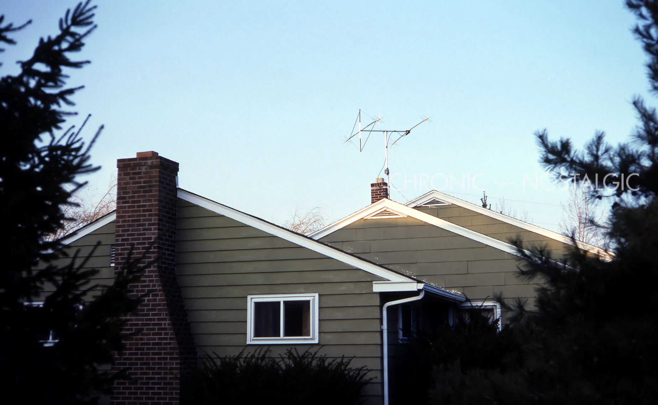 220F.jpg