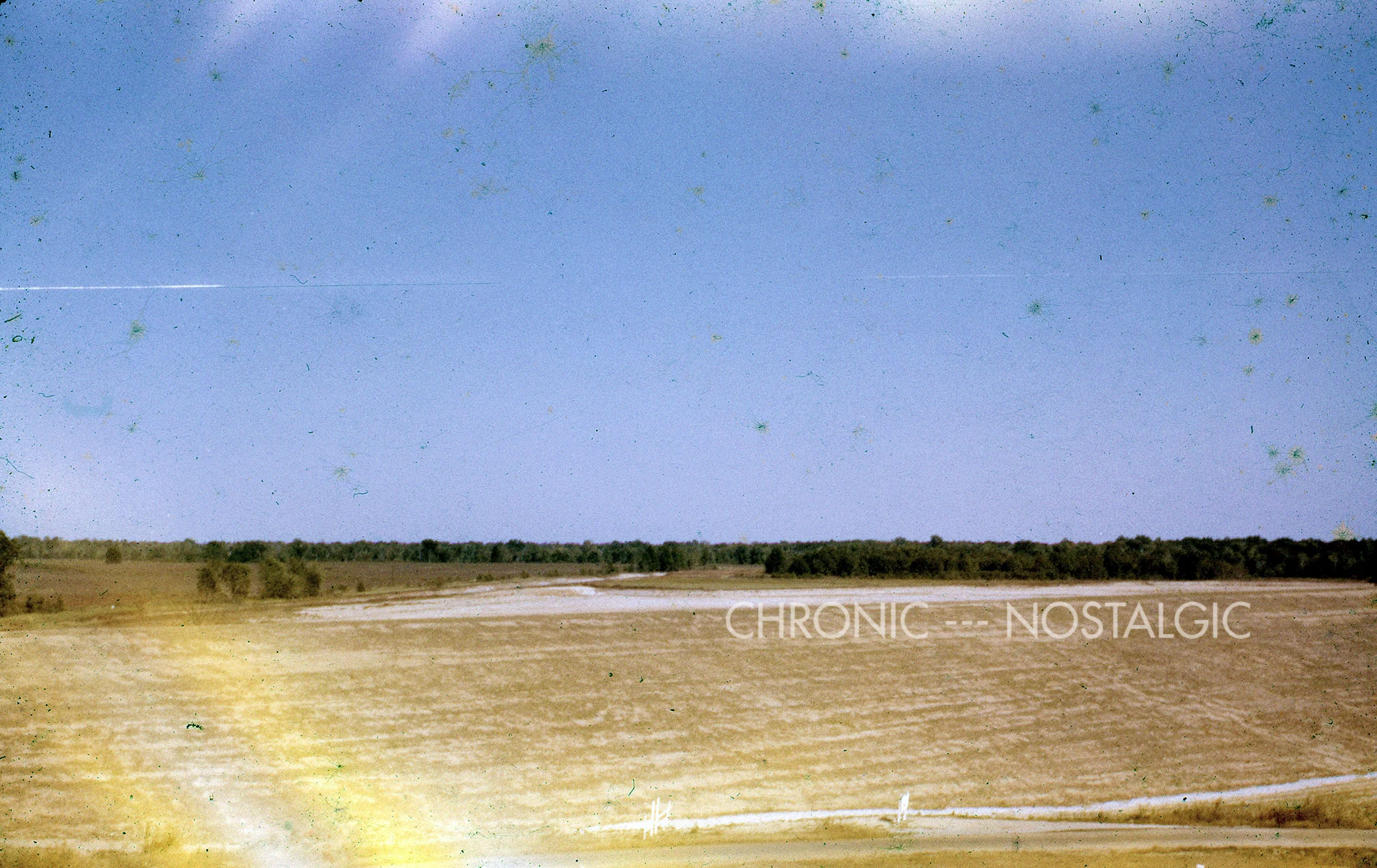 249D.jpg