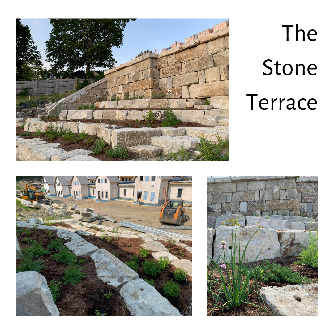 Hillside's builds resilience of natural ecosystems with permaculture principles