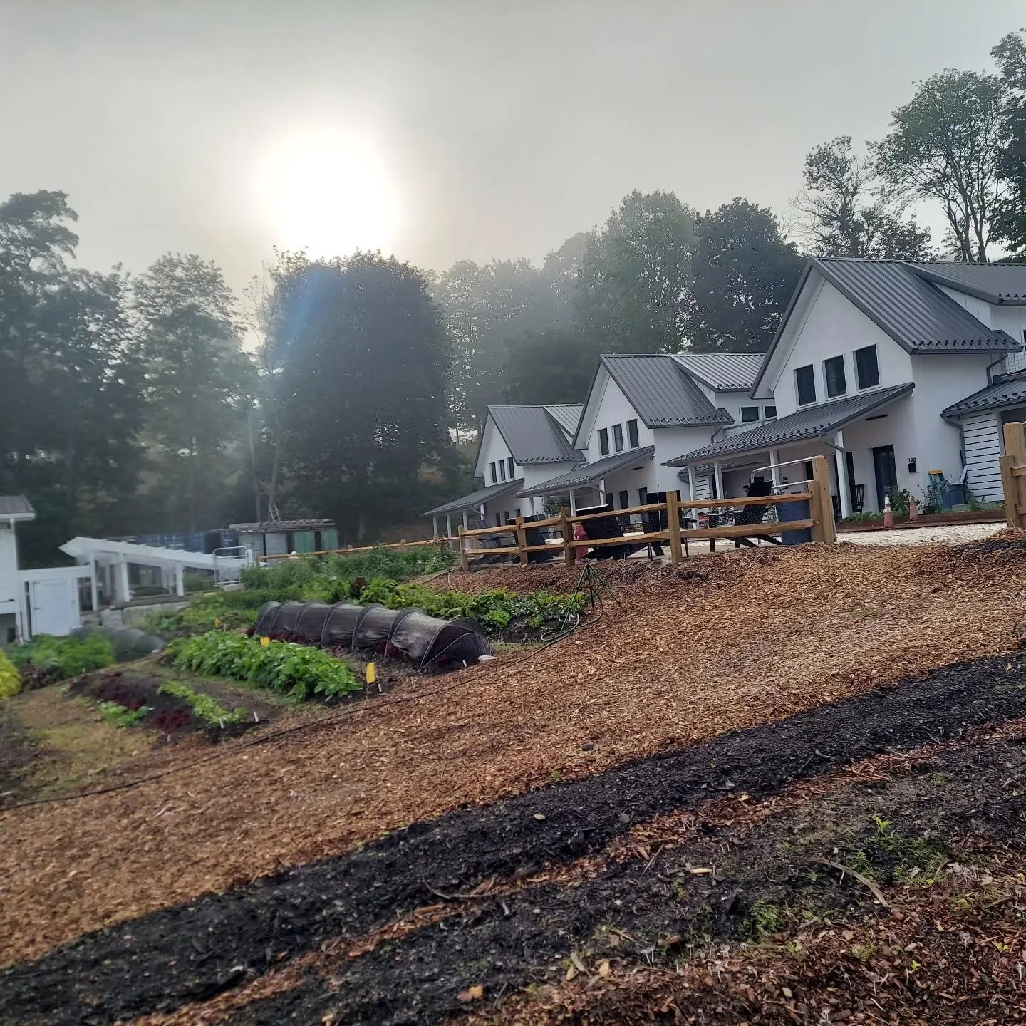 Misty sunrise over the grange this morning, with the new Southrise buildings as a backdrop.