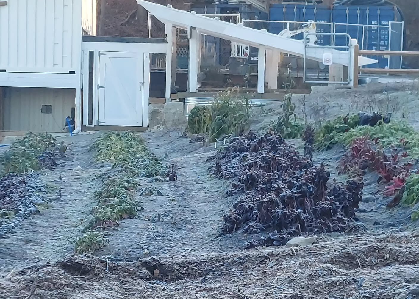 Looks like we had our first hard frost at the Grange and the Newbury/Newburyport area this morning!