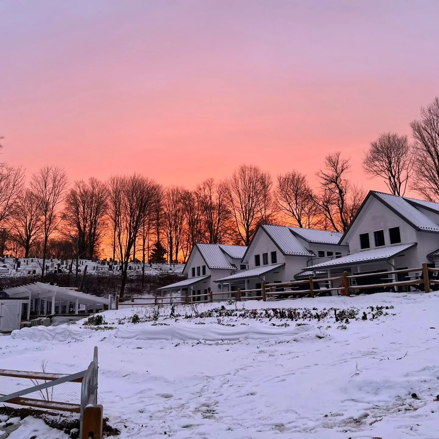 Frosty sunrise over Hillside, taken this morning by our resident, Caren Tackett. Thank you Caren!
#hillsidecenterforsustainableliving