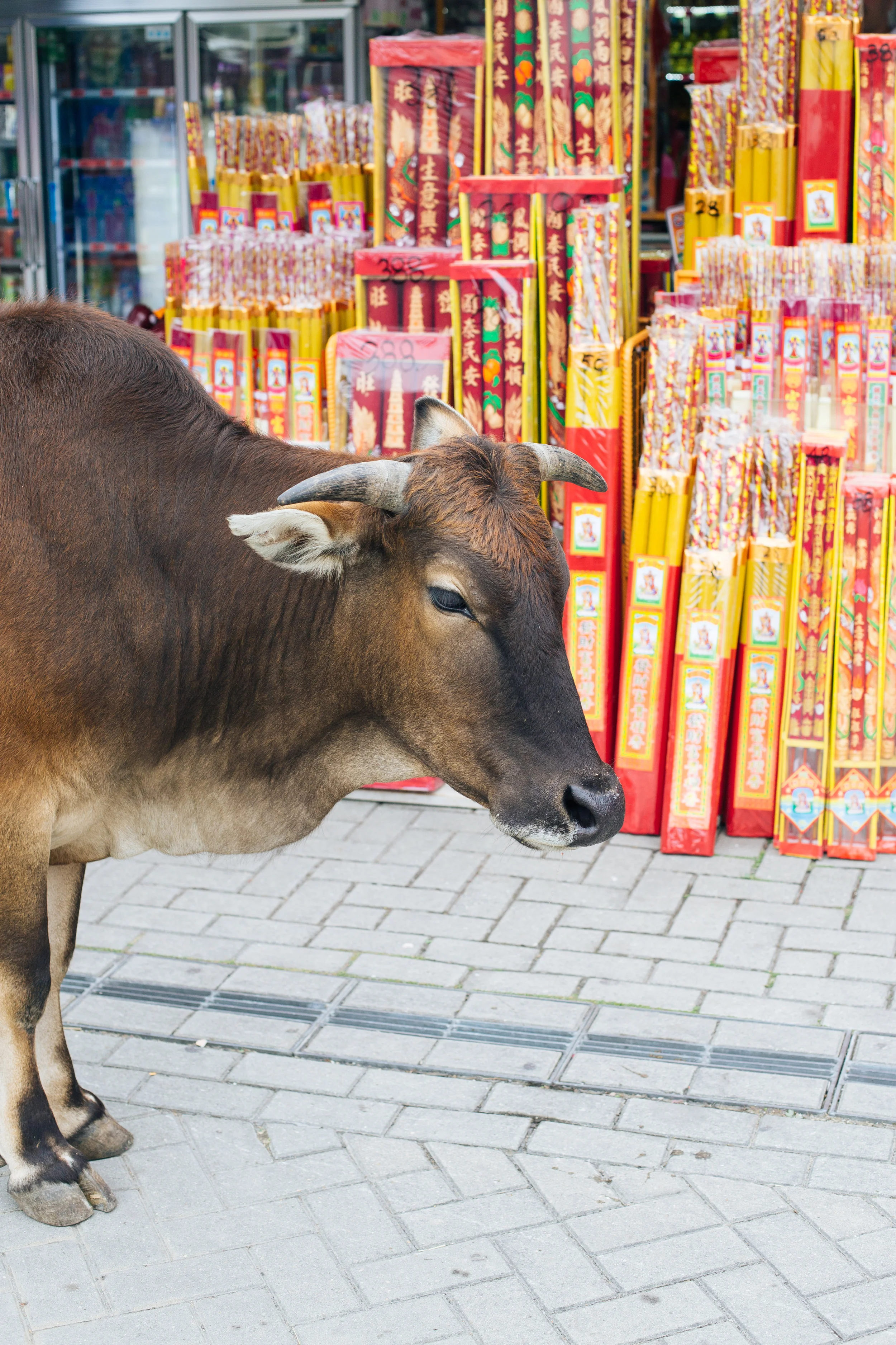 hong_kong-23.jpg