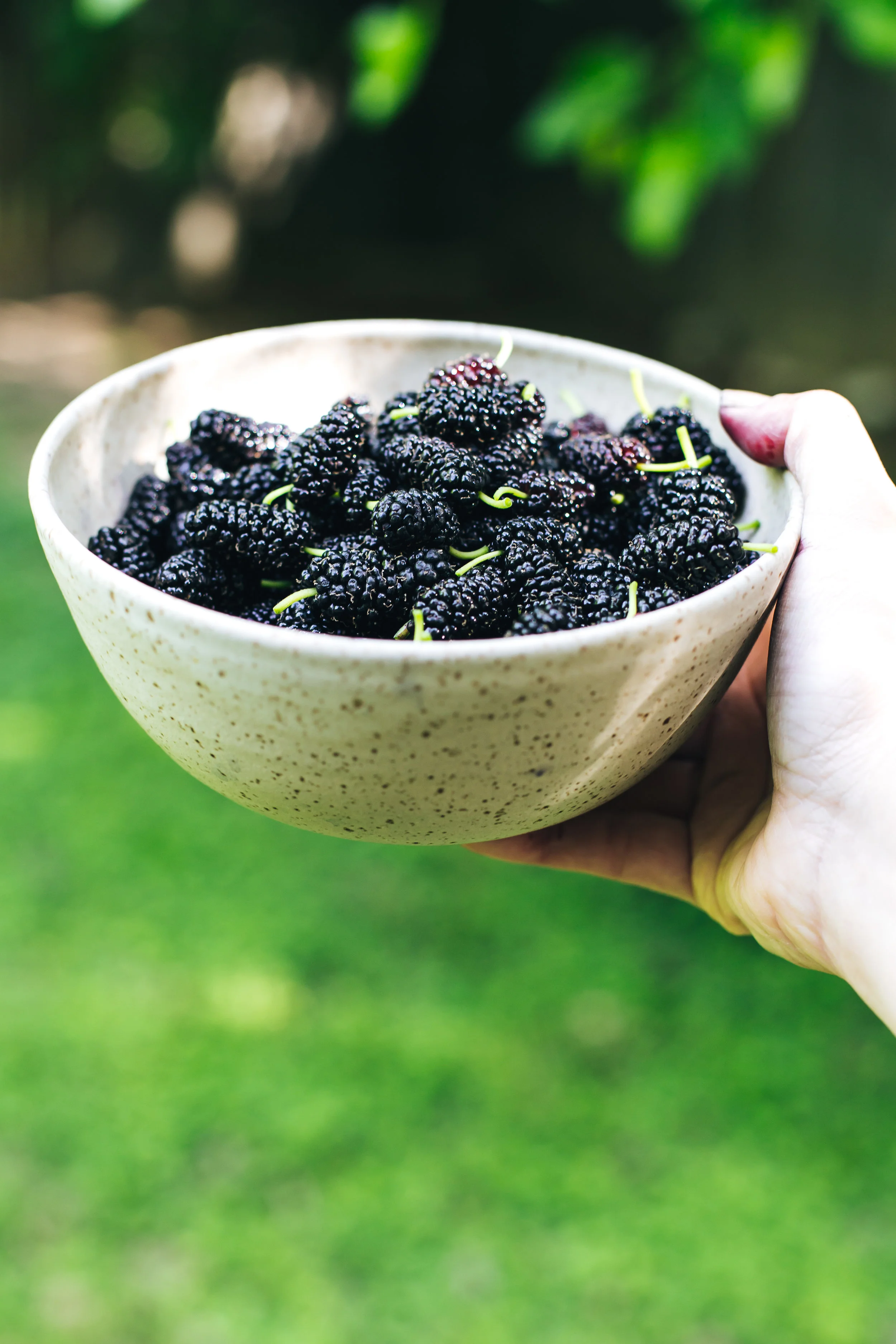 mulberry_yogurt_lemon_cake-13.jpg