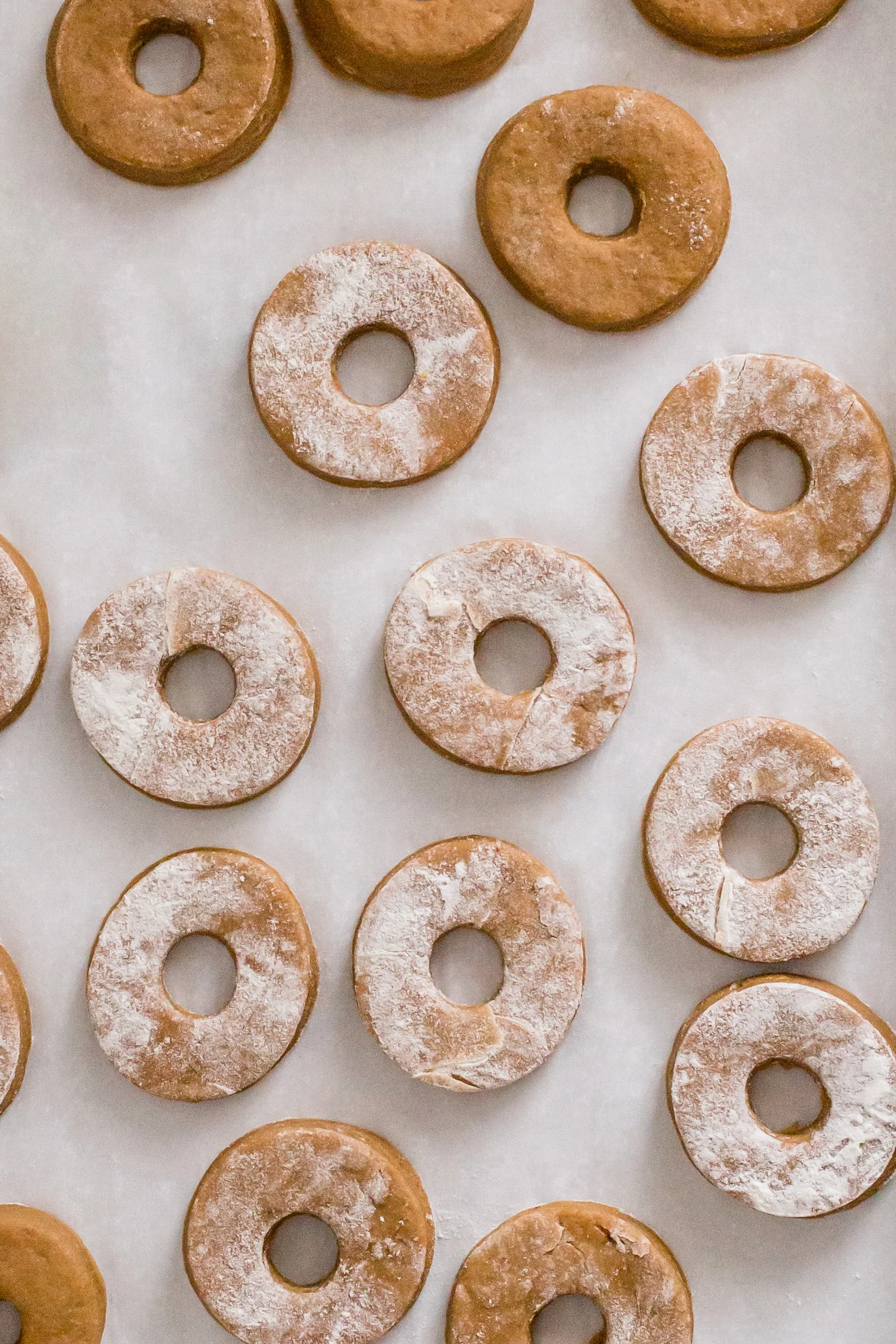gingerbread_cake_donuts-3.jpg