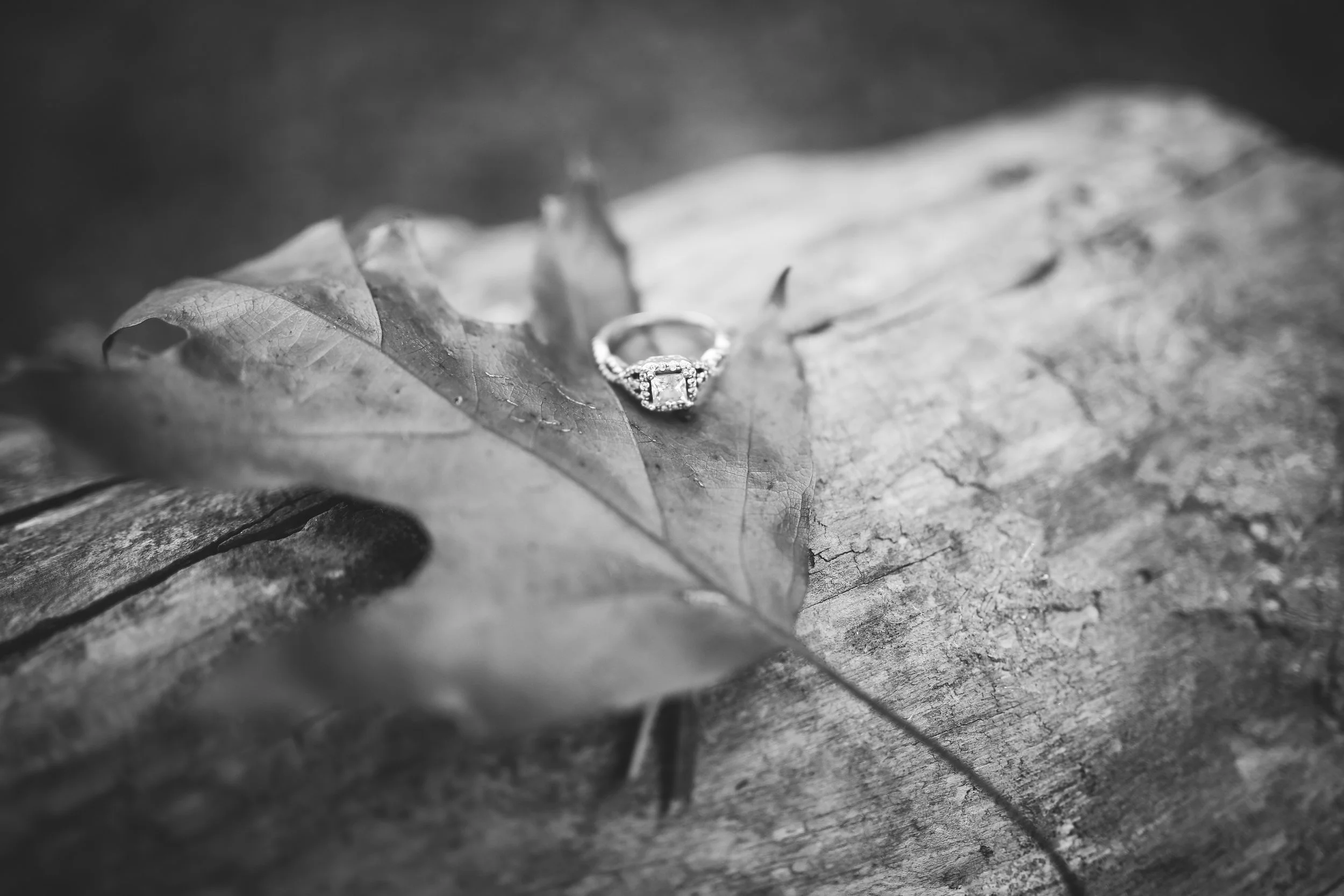 160-H+J Engagment.jpg