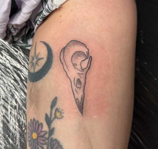 Screen Shot 2026-03-29 at 4.39.44 PM.png