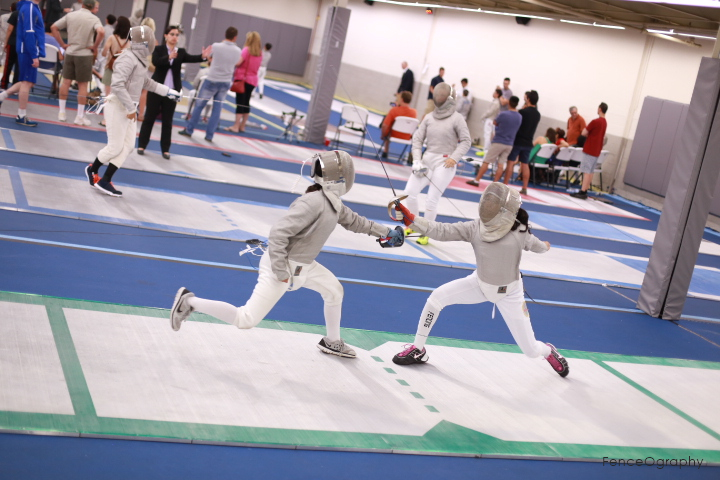 Olympic Fencing Strips.JPG