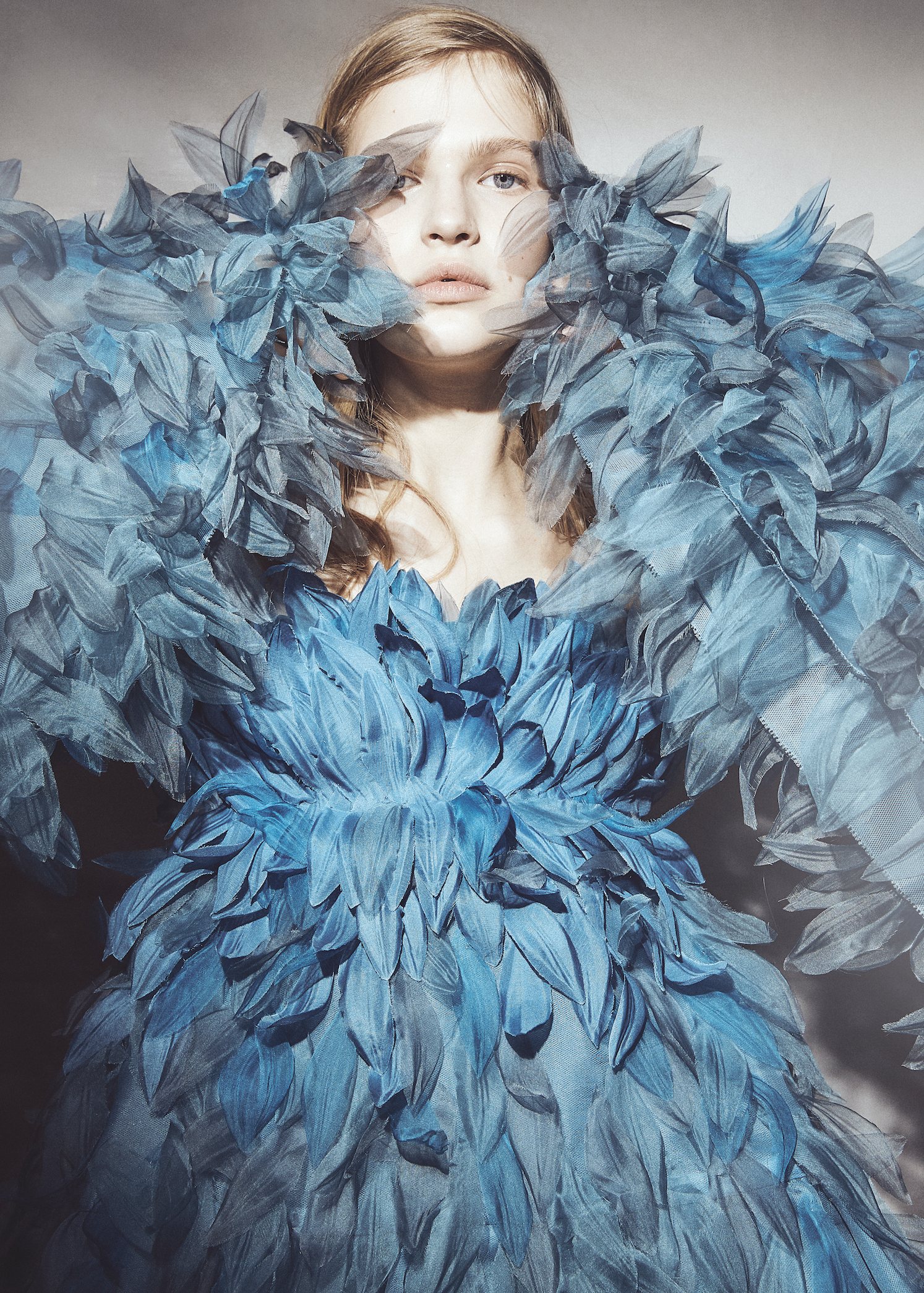 Screen Shot 2019-02-24 at 12.45.45 PM.png