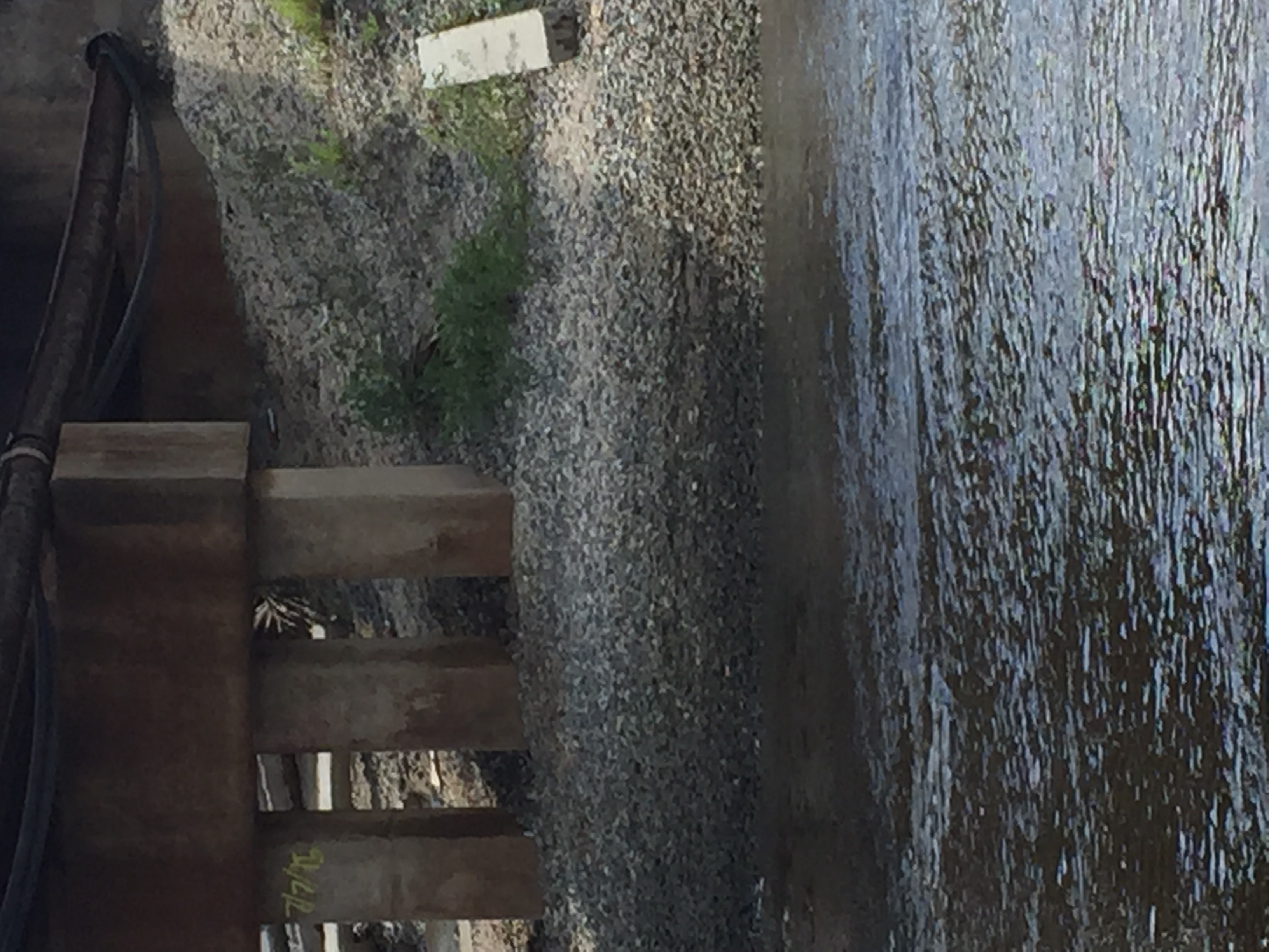 Southwestern View of FEC Trestle