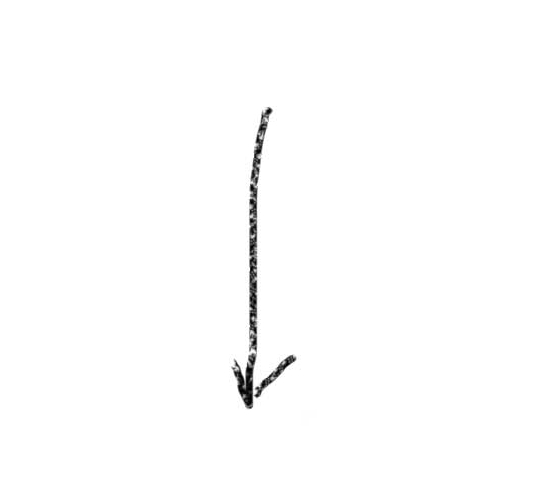 arrows.jpg