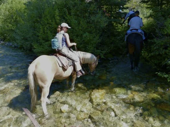 horsebackincreek_op_596x447.jpg