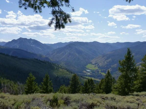 valleyview_op_596x447.jpg