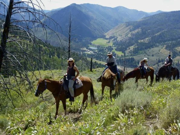 horsebackview_op_596x447.jpg