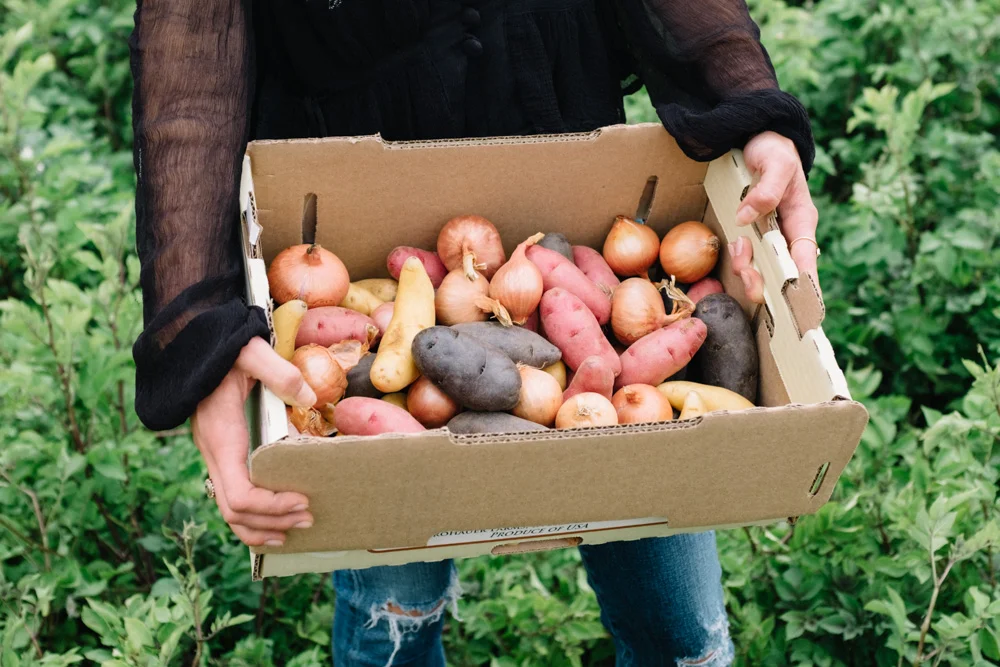 StrohauerFarms_AssortedProduce.jpg
