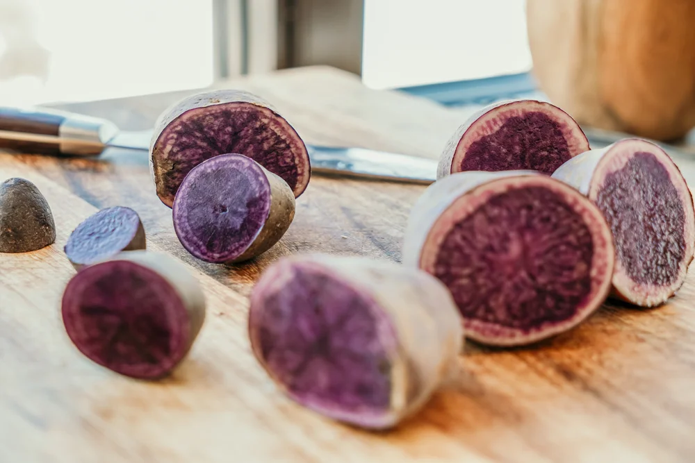 Strohauer_Four_Directions-23 2.JPG