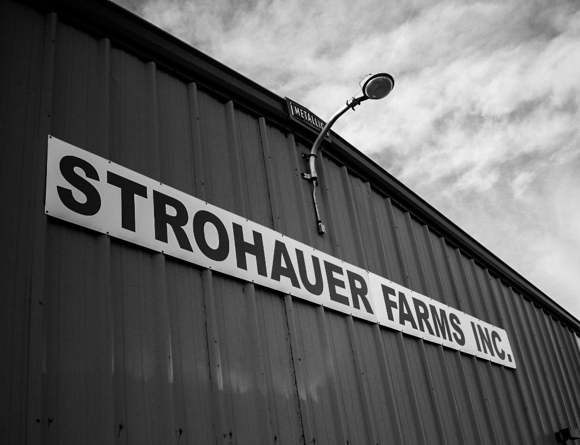 La Salle Shallots — Strohauer Farms