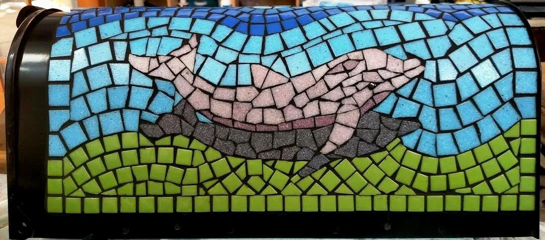 dolphin grouted.jpg
