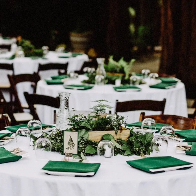 place settings & menus