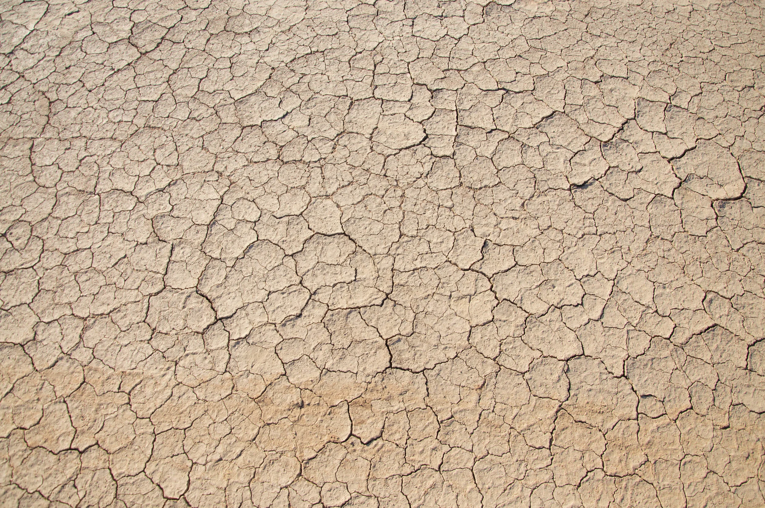 DSC_0120.jpg