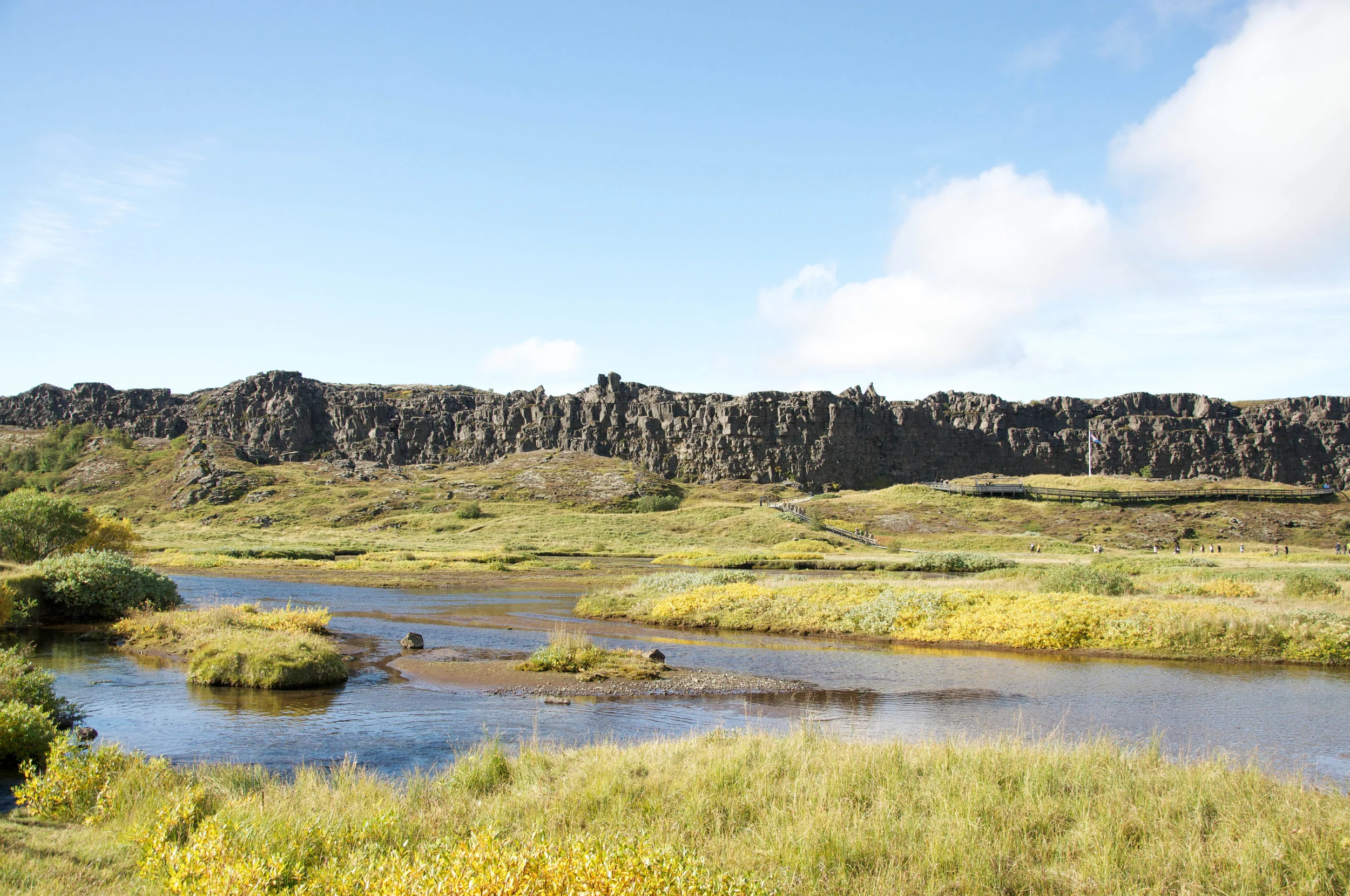 DSC_0161.jpg