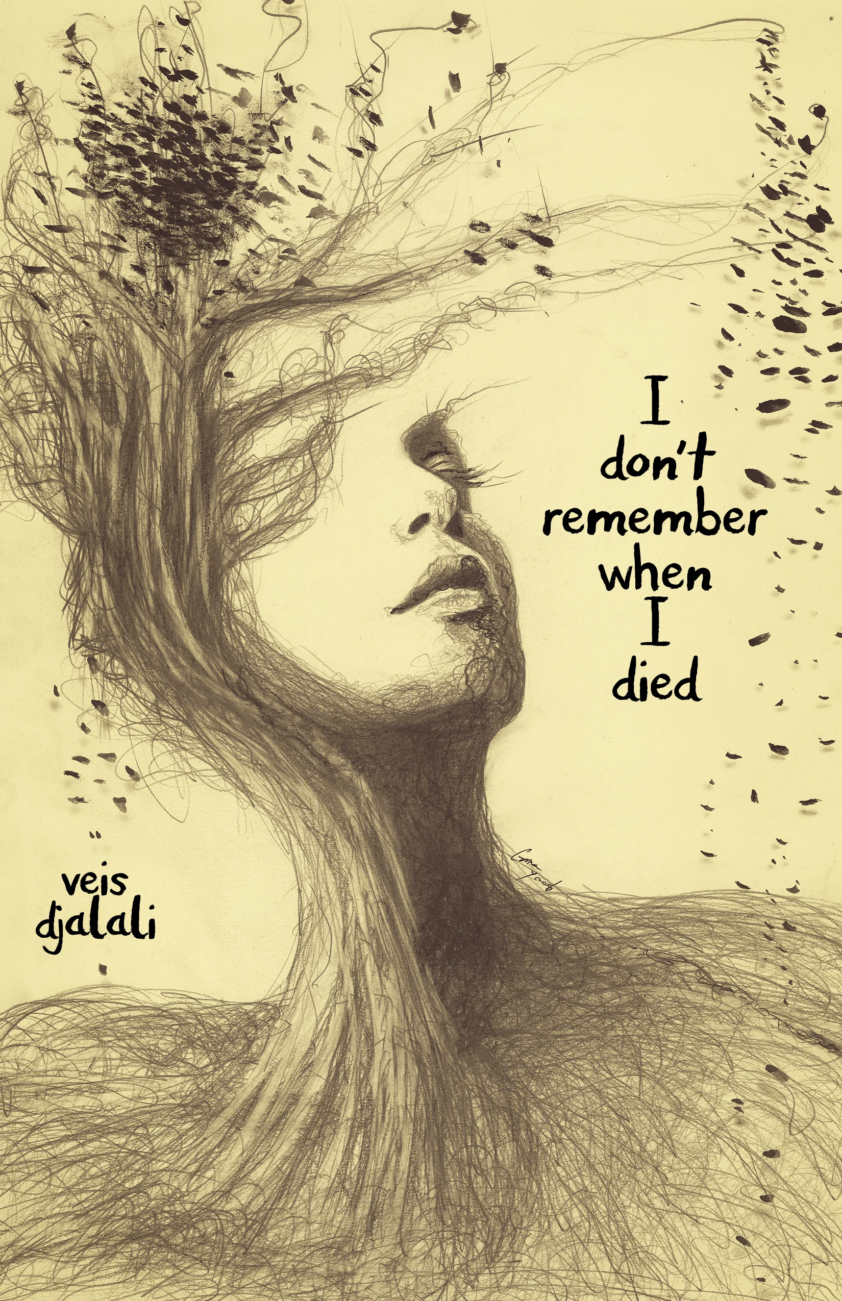 I don't remember-cream ebook-2-2018.jpg