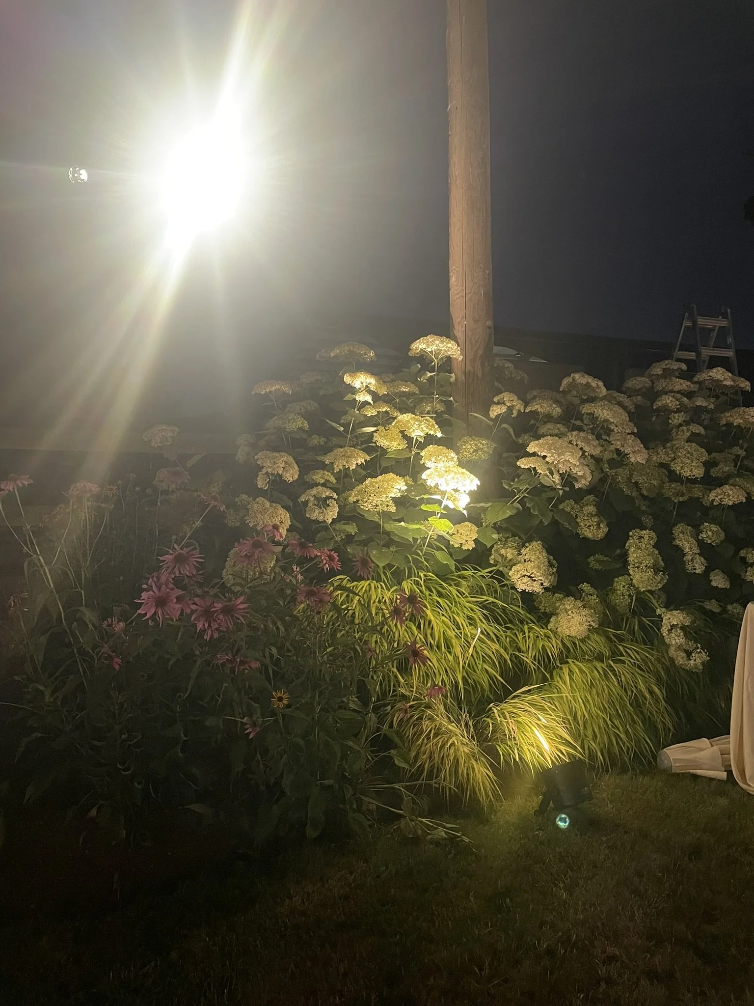 IMG_5673.JPEG