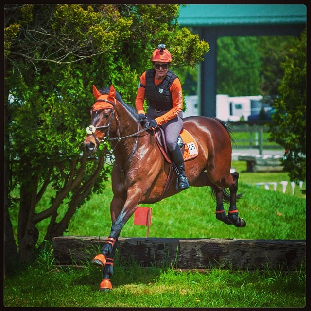 Summer 2 and 3/4 Phase