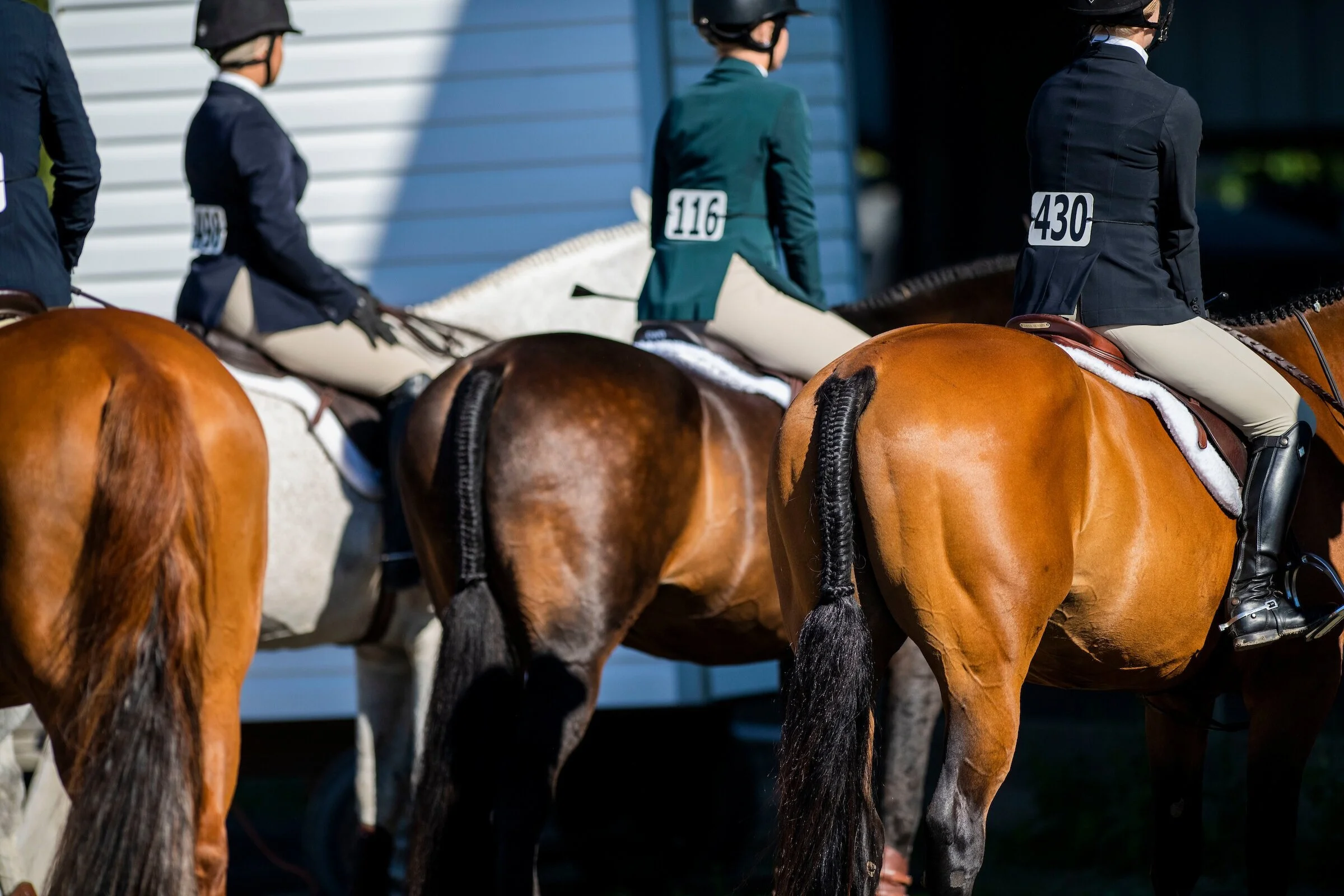 Southlands Winter Schooling Series 1