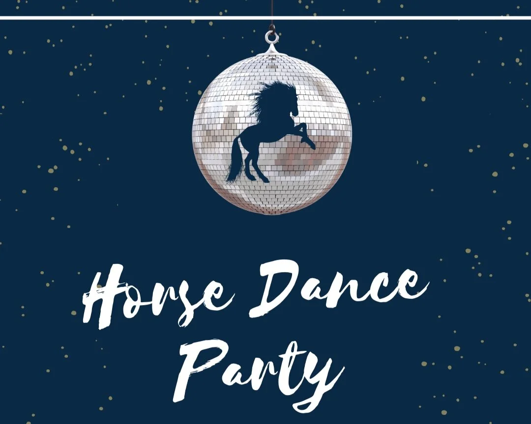 Horse Dance Party