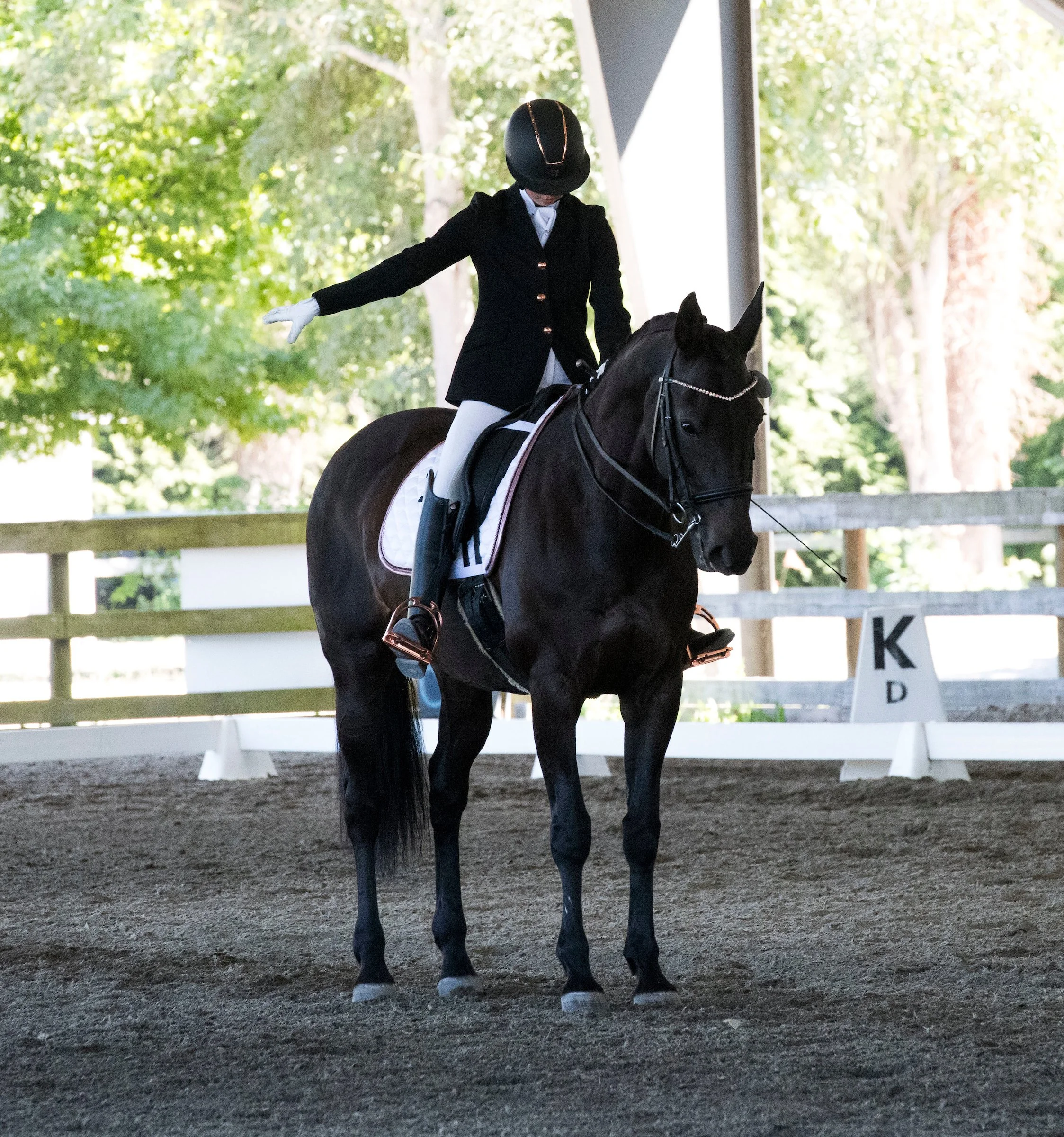 SRC Dressage Dogwood #2