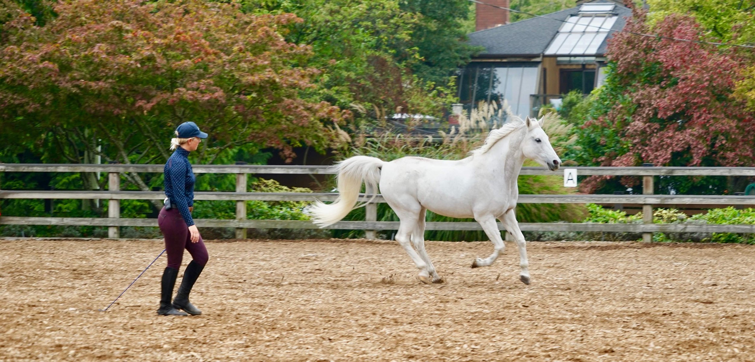 2-Days Clinic with Michelle Young
