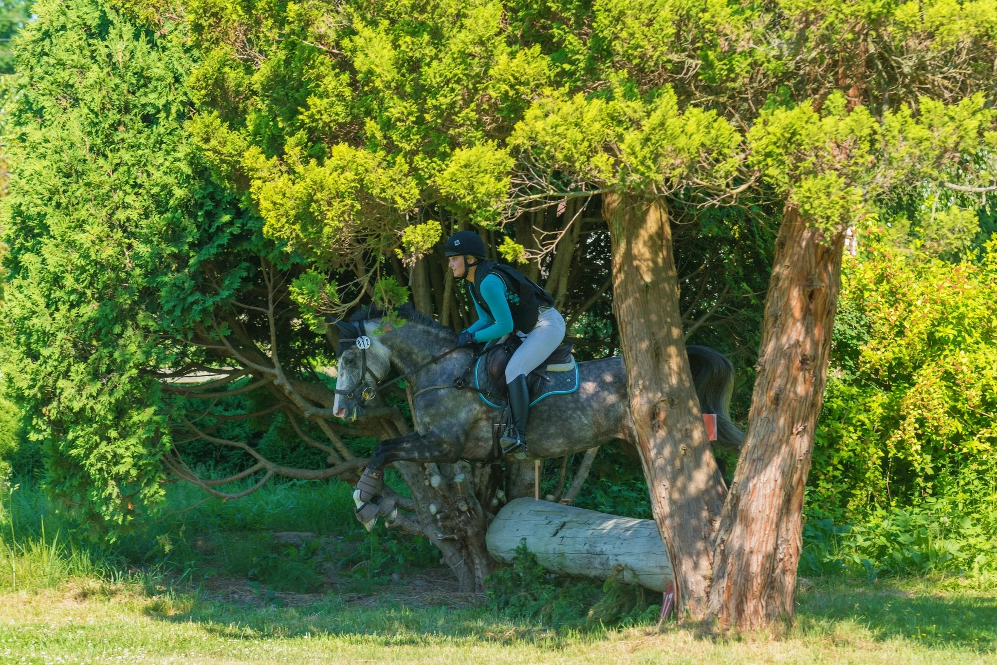 SRC 2 &amp; 3/4 Phase Event