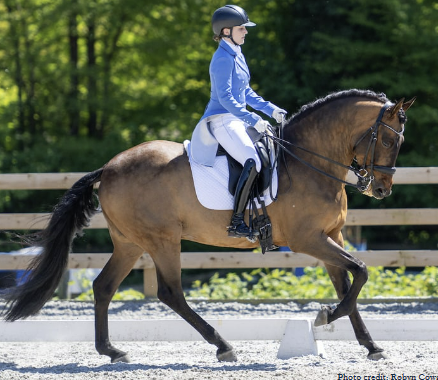 Spring Dressage (Gold) Show