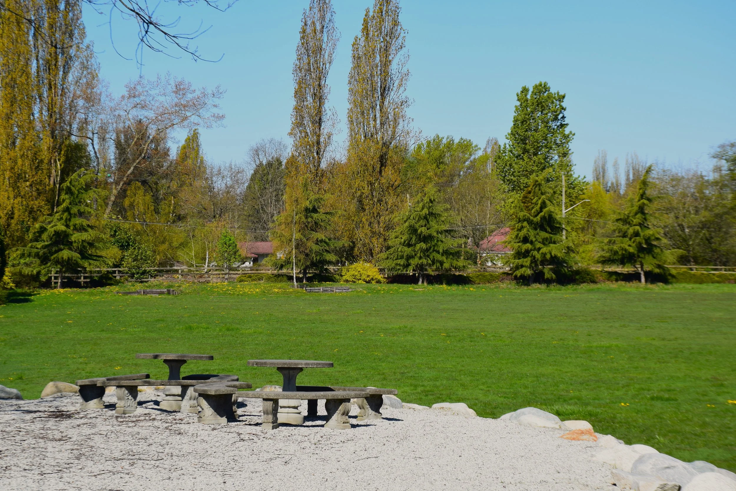 DSC_1165.JPG