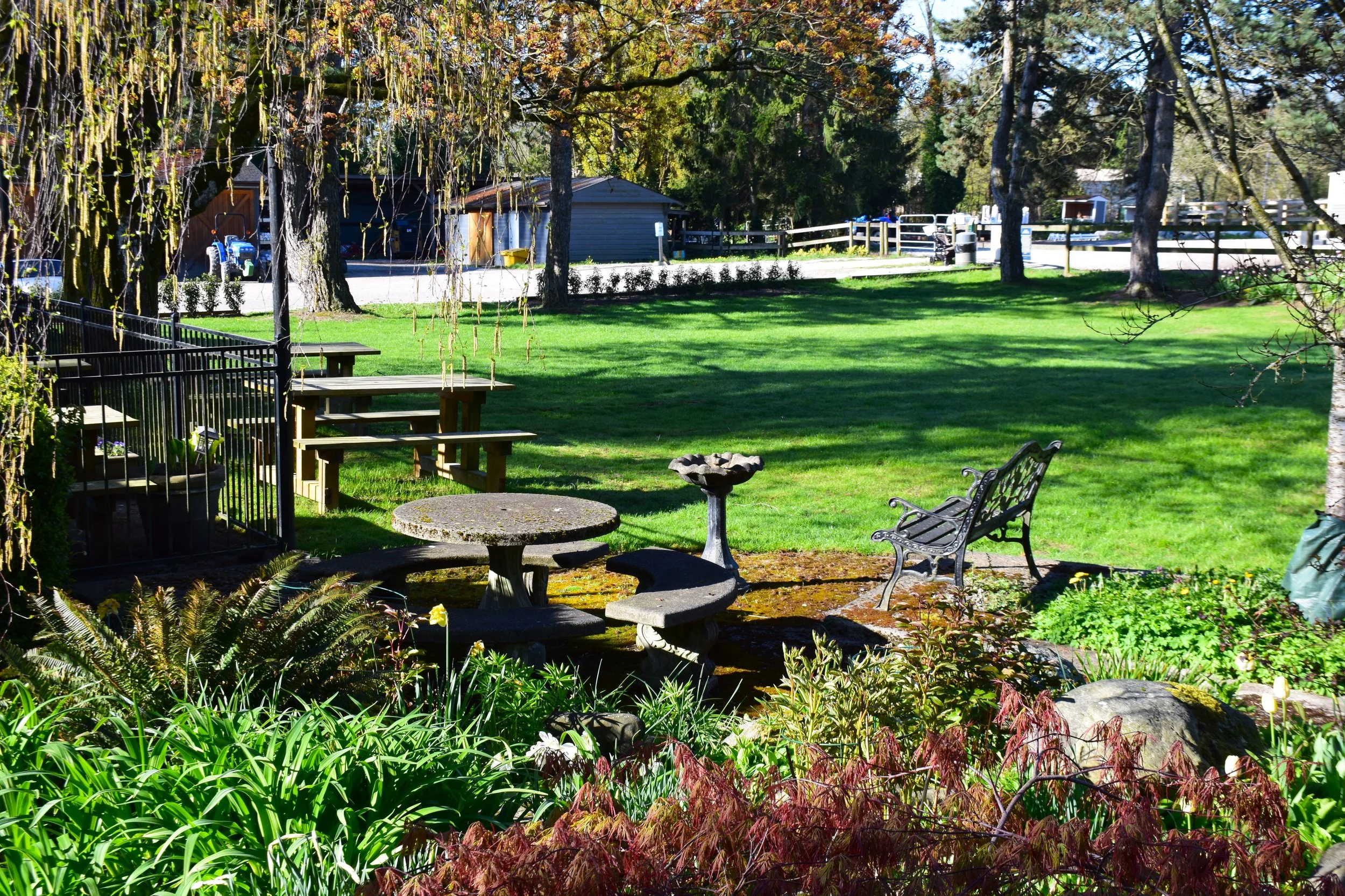 DSC_1178.JPG