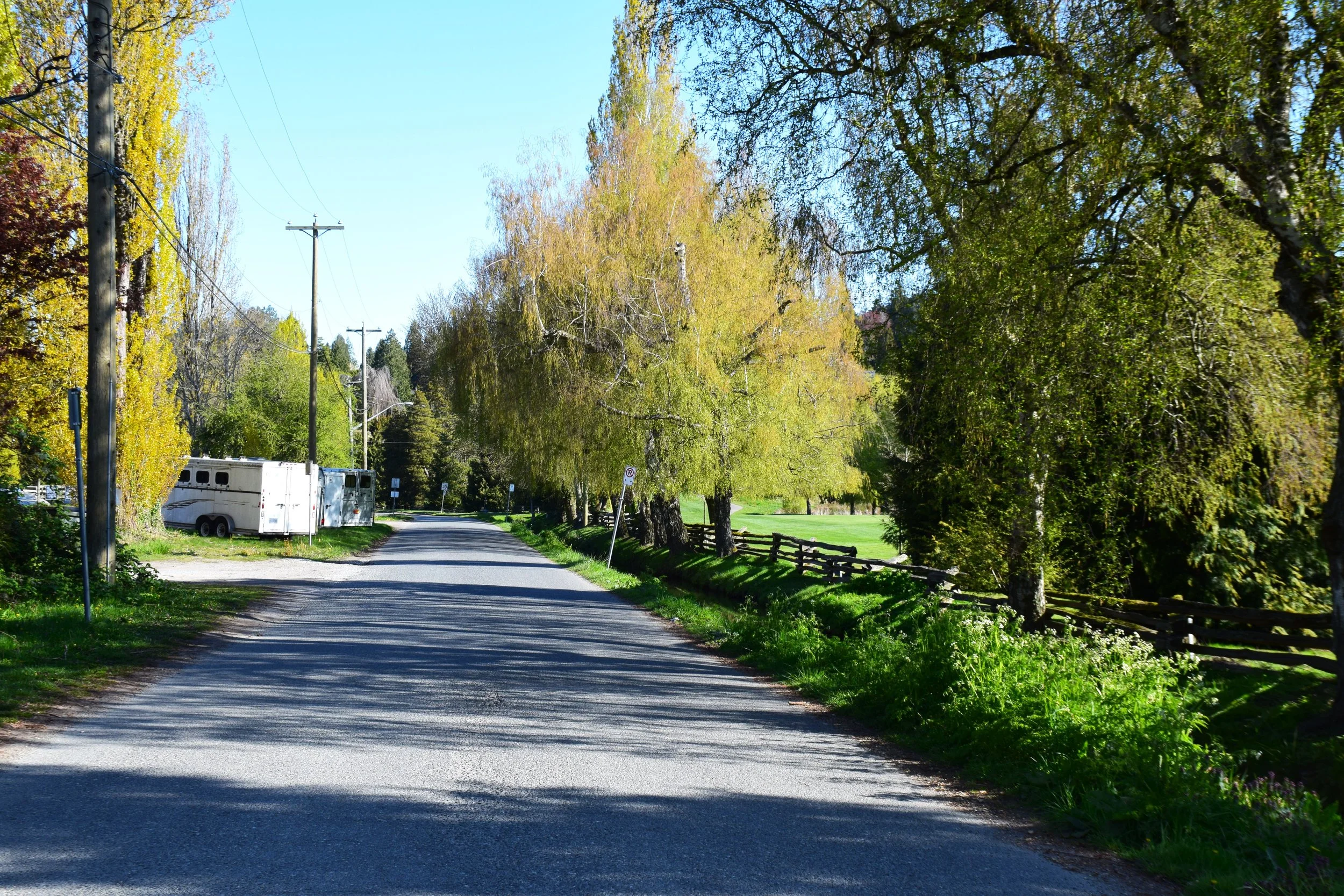 DSC_1191.JPG