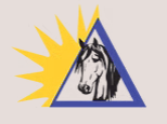 Delta Riding Club Logo.png