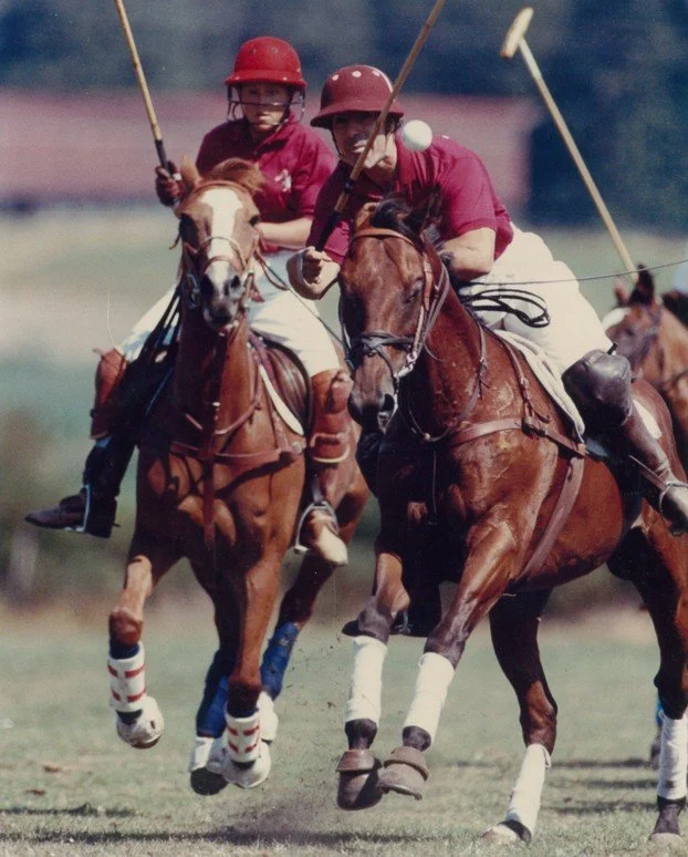 1980s polo.jpg