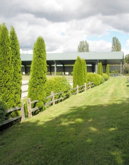 2000 covered ring.jpg
