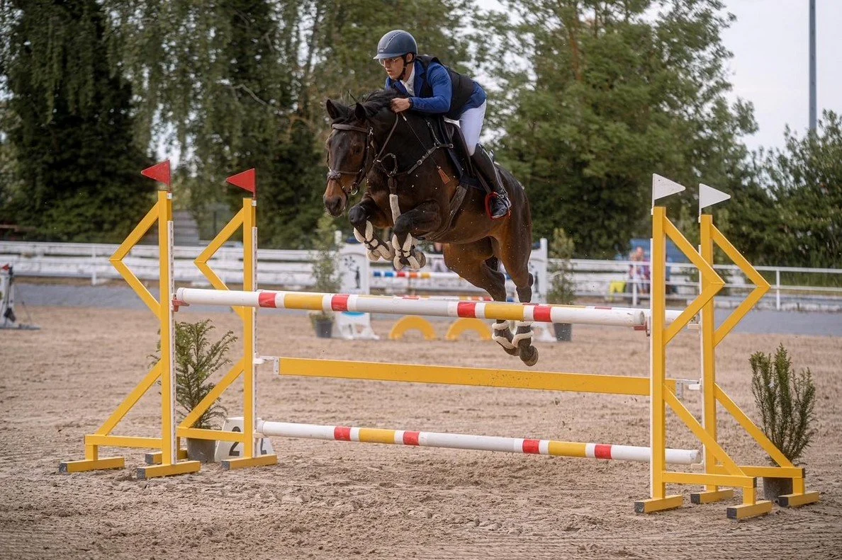 Show Jumping Clinic with Max Schonenberger