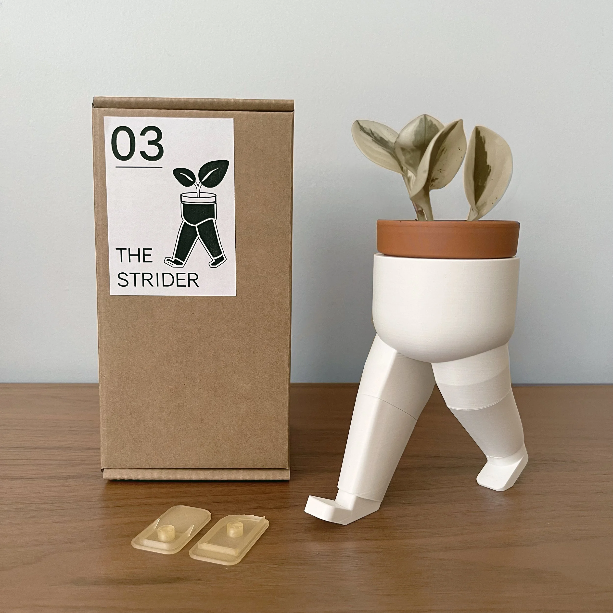 2026 Thumb PP03 Strider.jpg