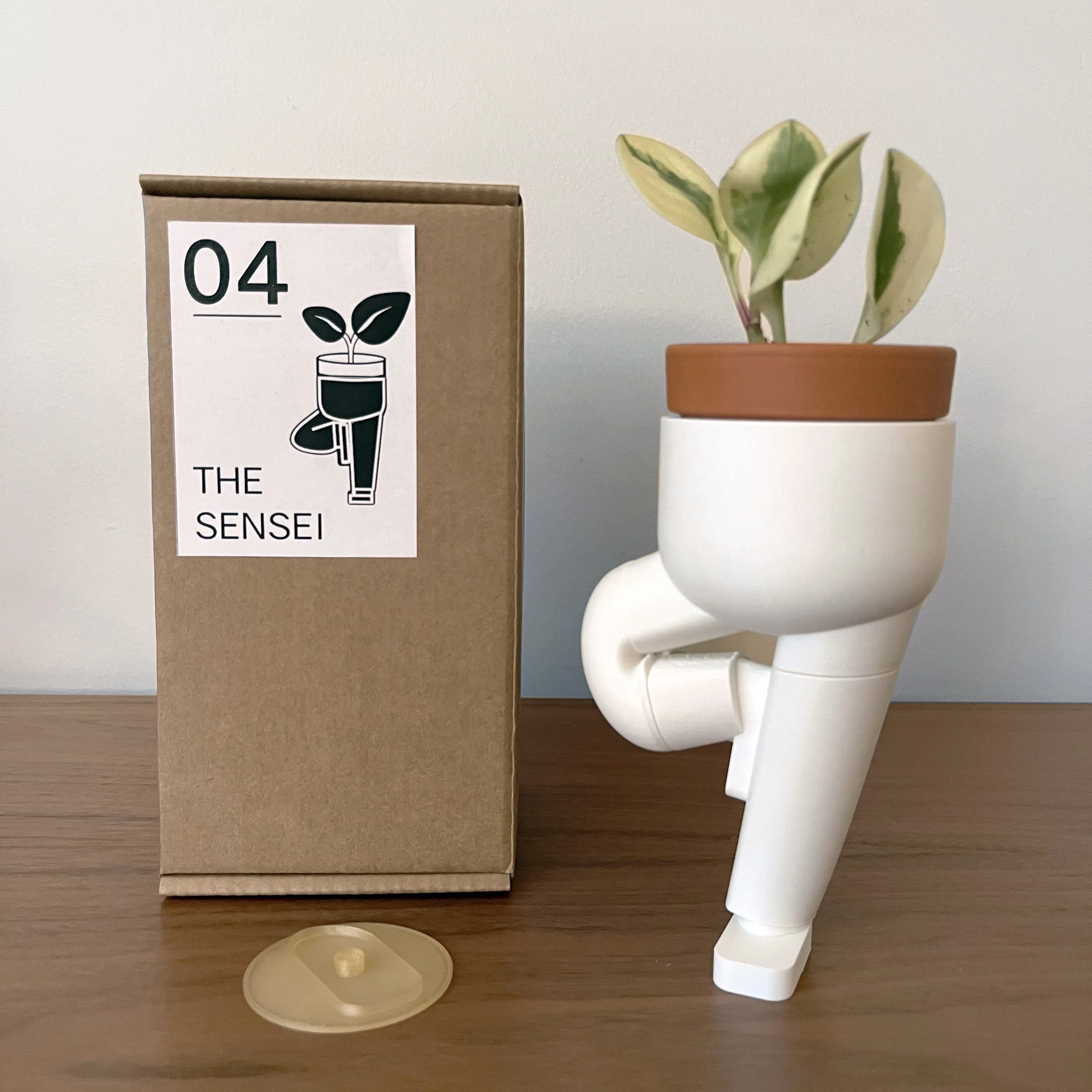 2026 Thumb PP04 Sensei.jpg