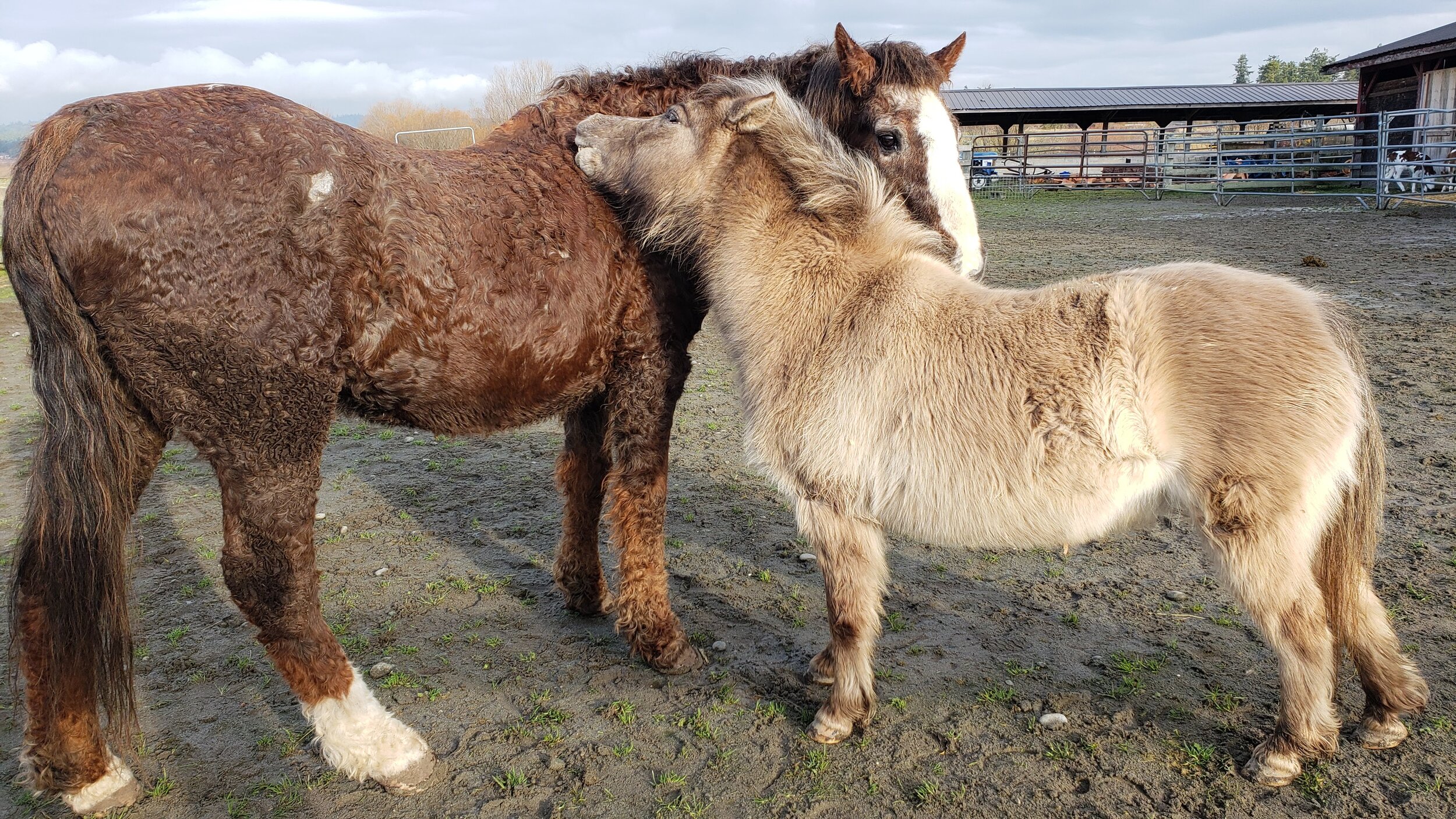 Madonna and Stormy