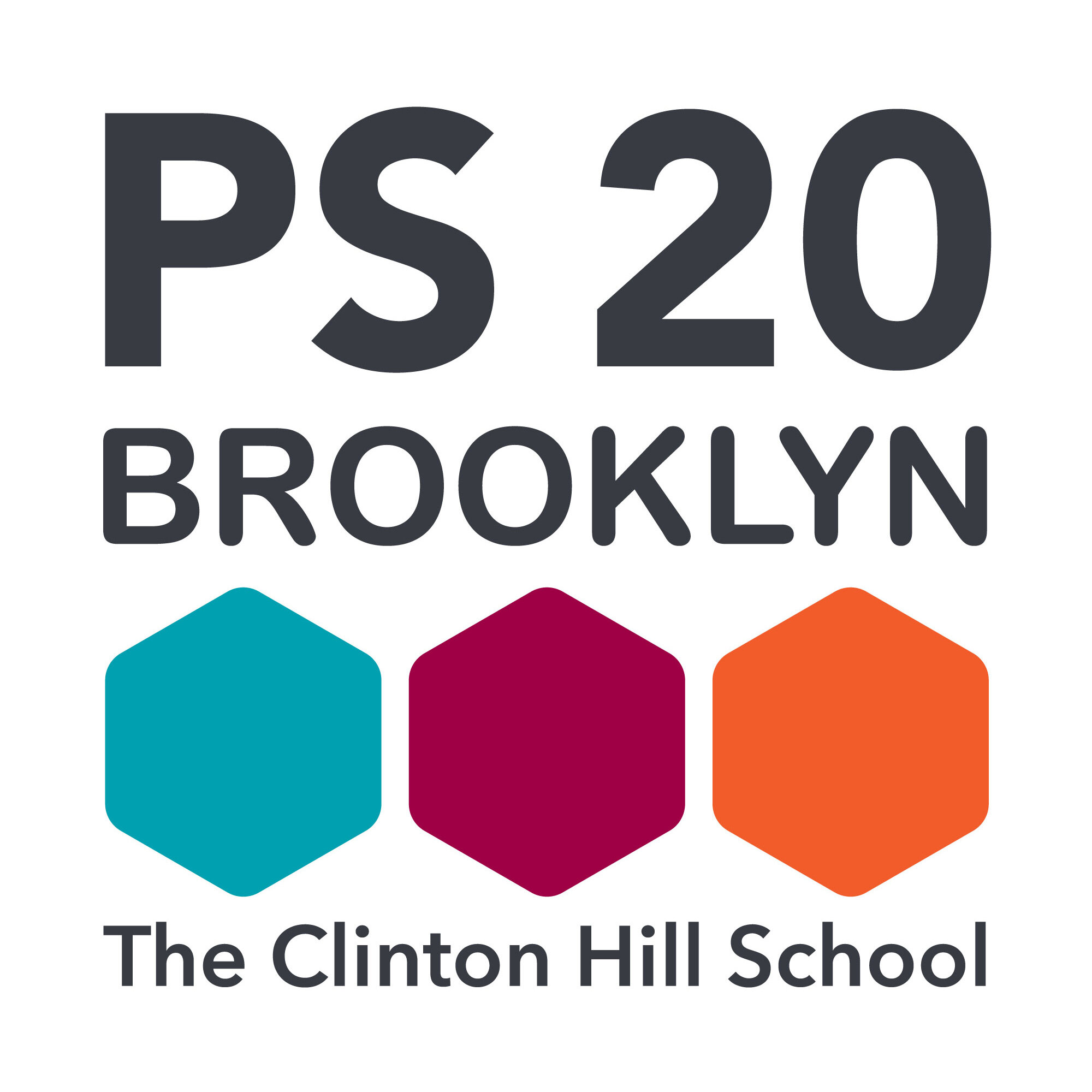 PS 20 The Clinton Hill School